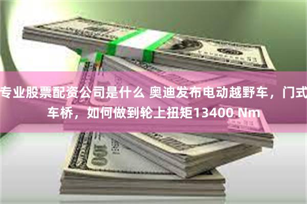 专业股票配资公司是什么 奥迪发布电动越野车，门式车桥，如何做到轮上扭矩13400 Nm