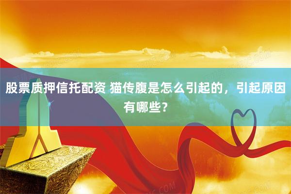 股票质押信托配资 猫传腹是怎么引起的，引起原因有哪些？