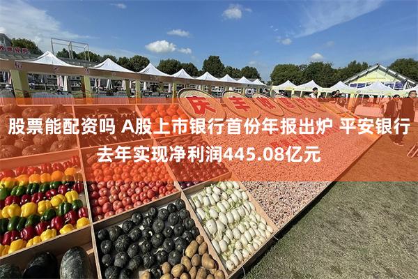 股票能配资吗 A股上市银行首份年报出炉 平安银行去年实现净利润445.08亿元