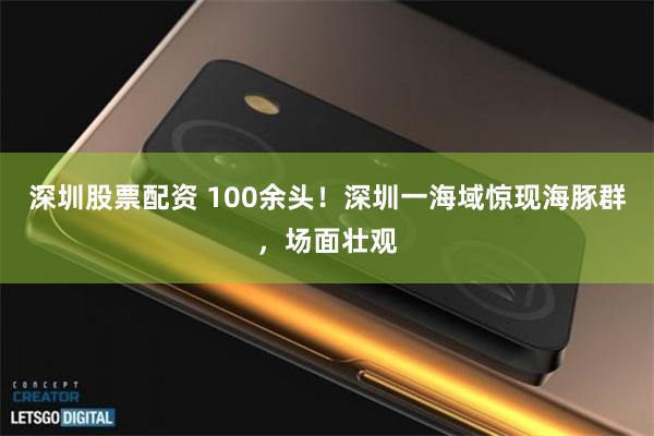 深圳股票配资 100余头！深圳一海域惊现海豚群，场面壮观
