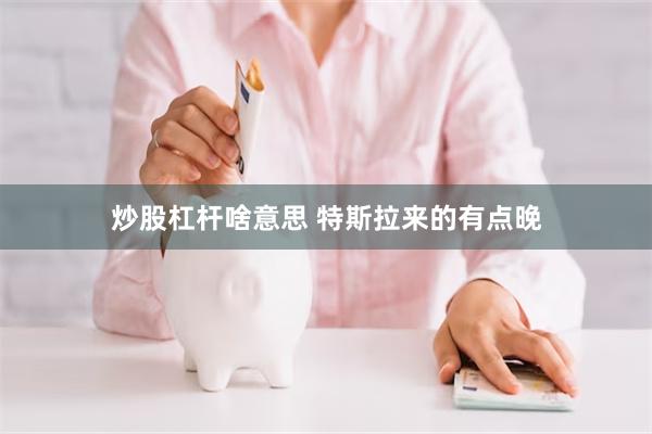 炒股杠杆啥意思 特斯拉来的有点晚