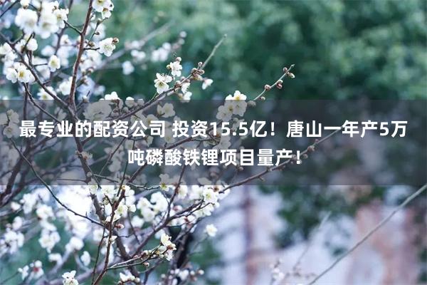 最专业的配资公司 投资15.5亿！唐山一年产5万吨磷酸铁锂项目量产！