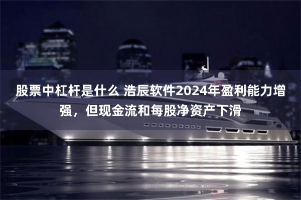 股票中杠杆是什么 浩辰软件2024年盈利能力增强，但现金流和每股净资产下滑