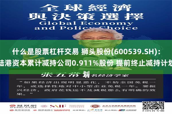 什么是股票杠杆交易 狮头股份(600539.SH)：陆港资本累计减持公司0.911%股份 提前终止减持计划