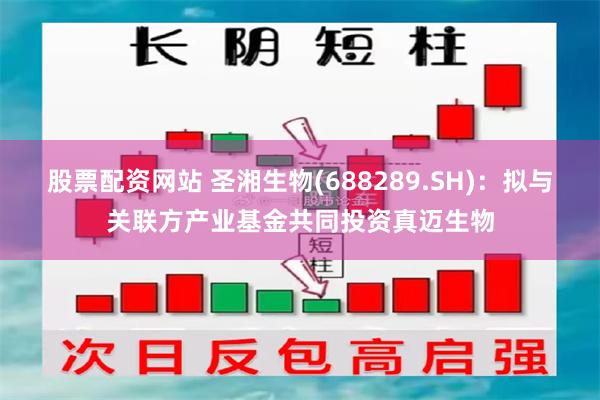 股票配资网站 圣湘生物(688289.SH)：拟与关联方产业基金共同投资真迈生物