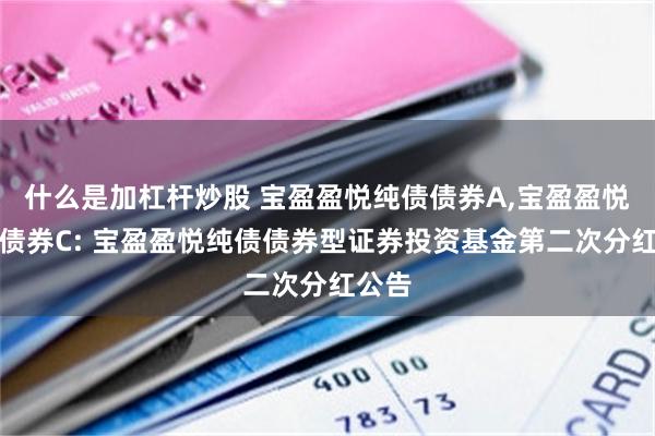 什么是加杠杆炒股 宝盈盈悦纯债债券A,宝盈盈悦纯债债券C: 宝盈盈悦纯债债券型证券投资基金第二次分红公告