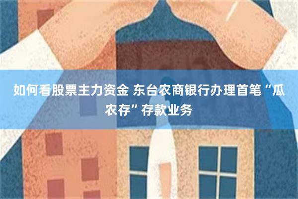 如何看股票主力资金 东台农商银行办理首笔“瓜农存”存款业务