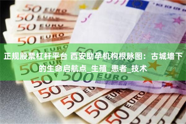 正规股票杠杆平台 西安助孕机构根脉图：古城墙下的生命启航点_生殖_患者_技术
