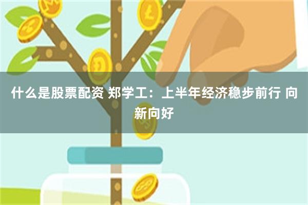 什么是股票配资 郑学工：上半年经济稳步前行 向新向好