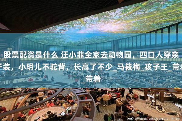 股票配资是什么 汪小菲全家去动物园，四口人穿亲子装，小玥儿不驼背，长高了不少_马筱梅_孩子王_带着