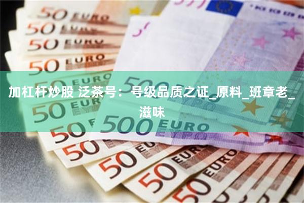 加杠杆炒股 泛茶号：号级品质之证_原料_班章老_滋味