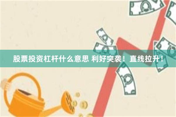 股票投资杠杆什么意思 利好突袭！直线拉升！