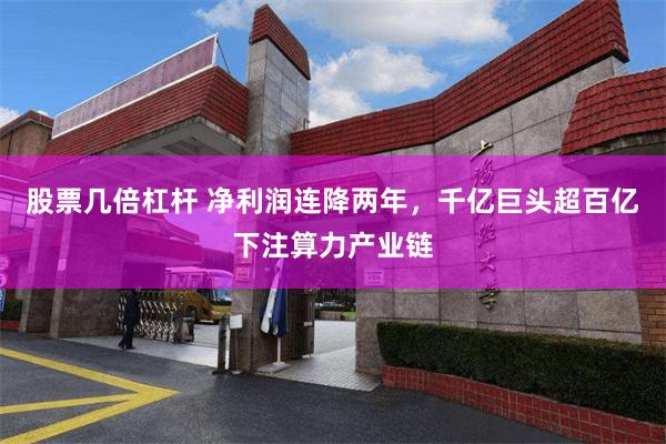 股票几倍杠杆 净利润连降两年，千亿巨头超百亿下注算力产业链
