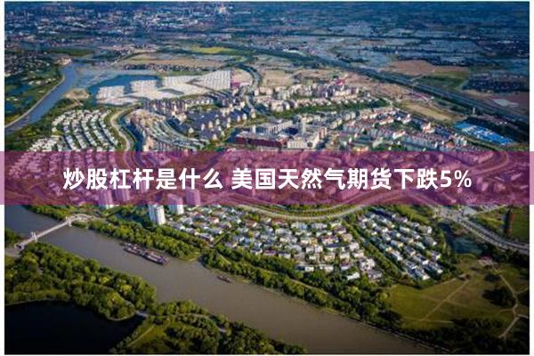 炒股杠杆是什么 美国天然气期货下跌5%