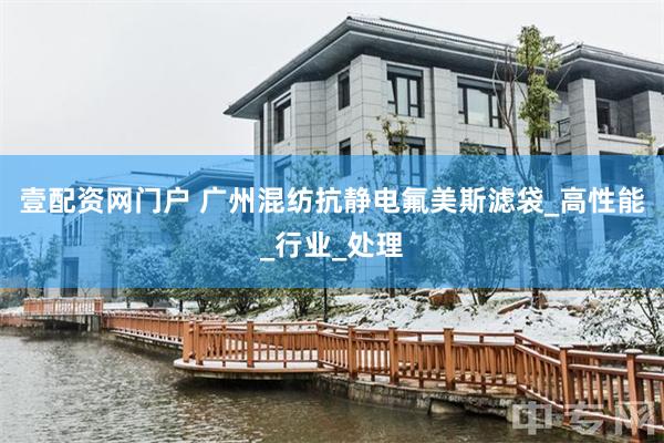 壹配资网门户 广州混纺抗静电氟美斯滤袋_高性能_行业_处理