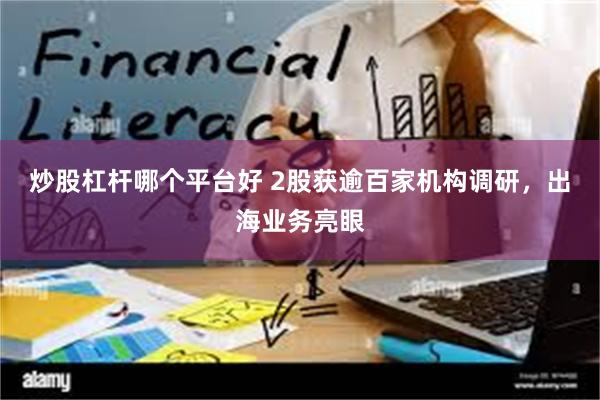 炒股杠杆哪个平台好 2股获逾百家机构调研，出海业务亮眼