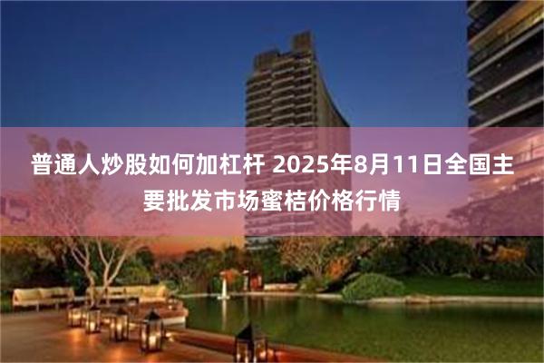 普通人炒股如何加杠杆 2025年8月11日全国主要批发市场蜜桔价格行情